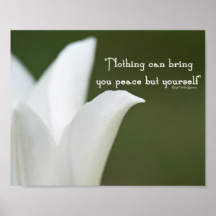 Peace Tulip Poster