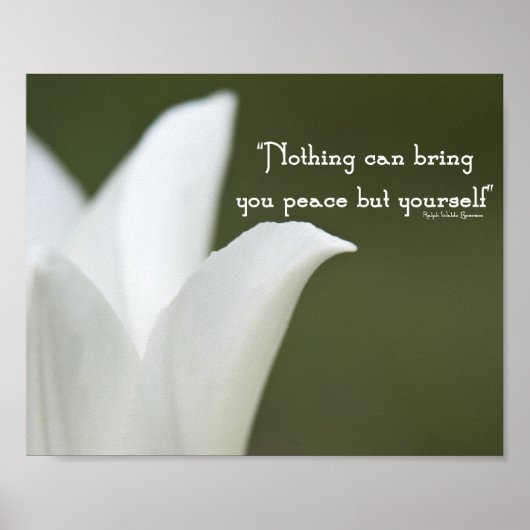 Peace Tulip Poster (Vorne)