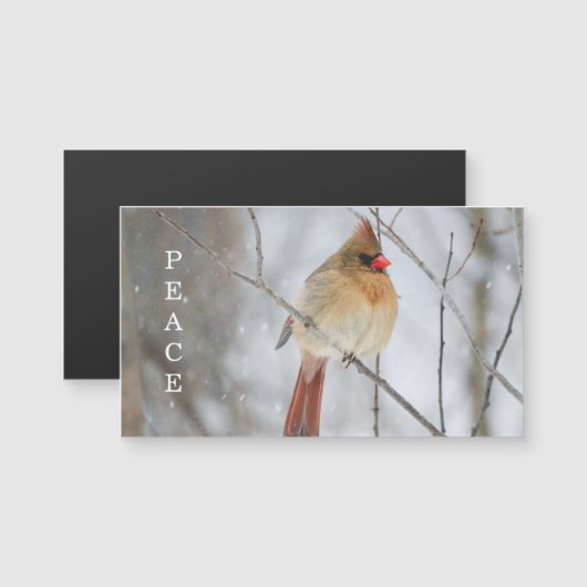 Peace Winter Cardinal Photo Magnet Card (Vorne/Hinten)