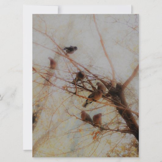 Peaceful Birds Flat Card (Vorderseite)