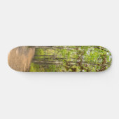 Peaceful Walk Skateboard (Horizontal)