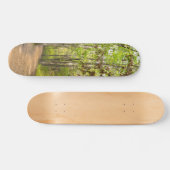 Peaceful Walk Skateboard (Horizontal)