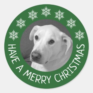 Peaceful White Dog Photo Merry Christmas Green Runder Aufkleber