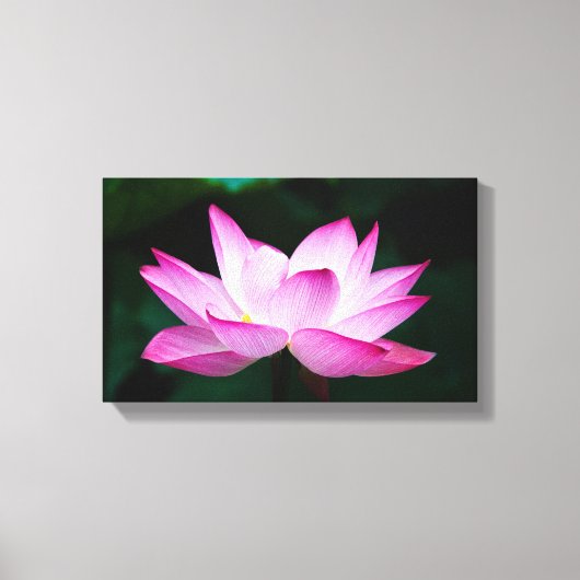 Peaceful Zen Lotus Flower Canvas Print Leinwanddruck (Vorderseite)