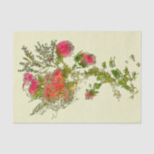 Peach Abstrakt Rose Floral Decoupage Seidenpapier (Vorderseite)