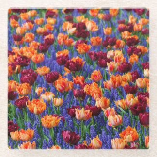 Peach and Red Tulips in Gran Hyacinth Blume Glasuntersetzer