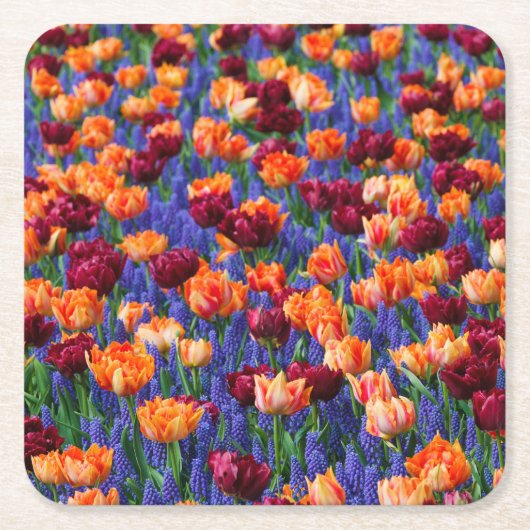 Peach and Red Tulips in Gran Hyacinth Blume Rechteckiger Pappuntersetzer (Vorderseite)