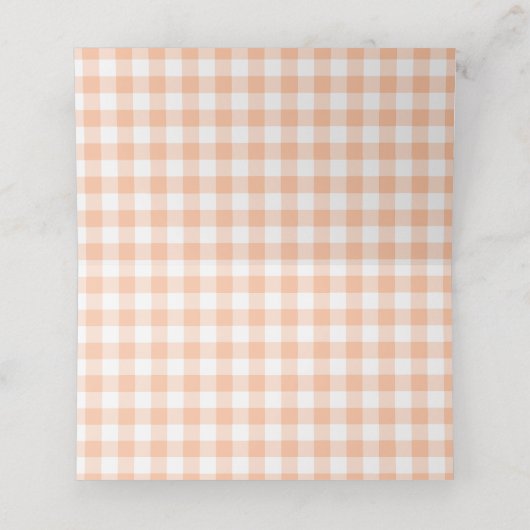 Peach and White Country Gingham Platzkarte (Innenseite Aufgefaltet)