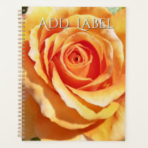 Peach Apricot Rose Planner for teaching wedding