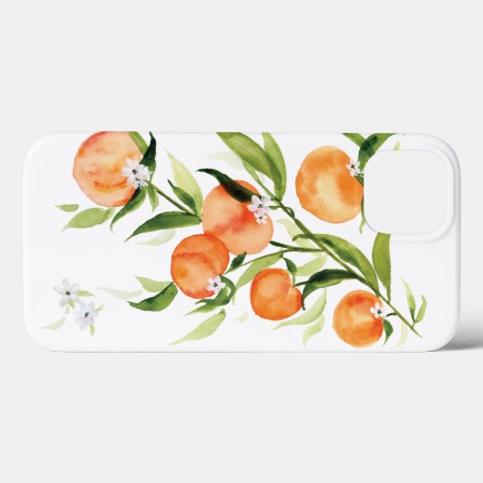 Peach apricot Sommer Früchte iPhone Gehäuse Case-Mate iPhone Hülle (Rückseite (Horizontal))
