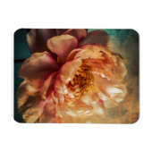 Peach Beauty Magnet (Horizontal)