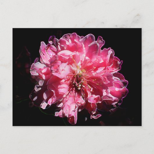 Peach Blossom Blume Postkarte (Vorderseite)