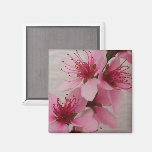 Peach Blossom Kühlschrankmagnet (Vorderseite/Rückseite)