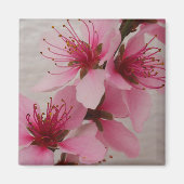Peach Blossom Kühlschrankmagnet (Vorne)