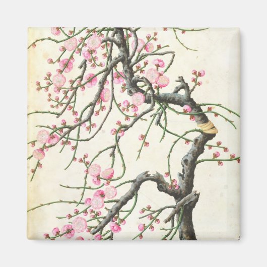 Peach Blossom Magnet (Vorne)