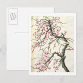 Peach Blossom Postkarte (Vorne/Hinten)