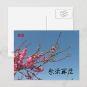 Peach Blossom Tree Postkarte (Vorne/Hinten)