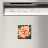 Peach-Blume Magnet (In Situ (Geschirrspüler))