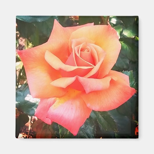 Peach-Blume Magnet (Vorne)