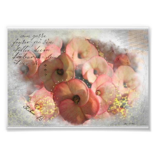 Peach Blume Mix Media Fotodruck (Vorne)