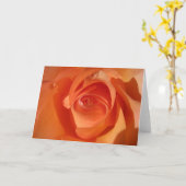 Peach Burst Greeting Card Karte (Gelbe Blume)