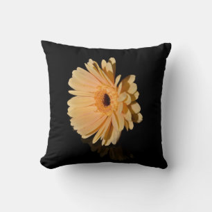 Peach chrysanthemum Blume Kissen