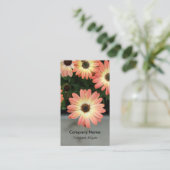 Peach Color African Daisies Visitenkarte (Stehend Vorderseite)
