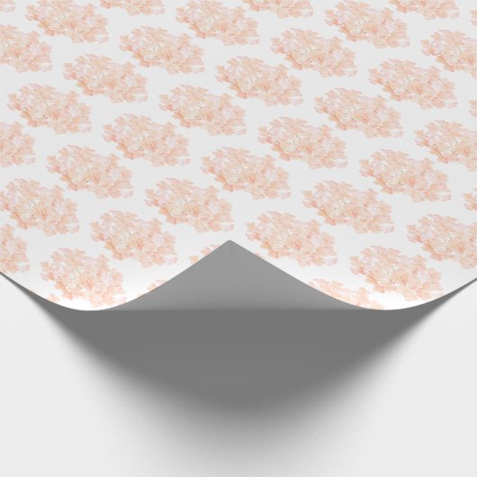 Peach Colored Hydrangea On White Geschenkpapier (Ecke)