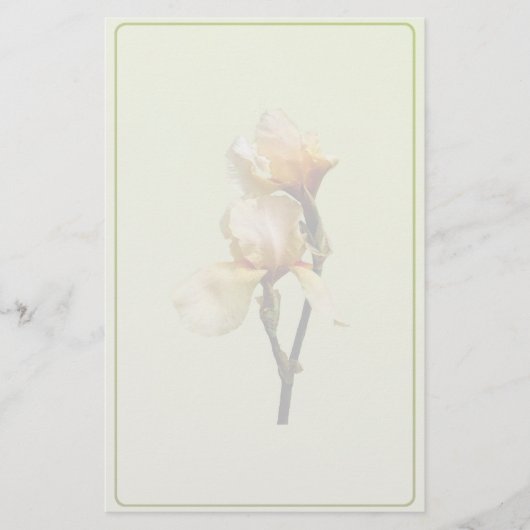 Peach Colored Irises Briefpapier (Vorderseite)