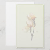 Peach Colored Irises Briefpapier (Vorne/Hinten)