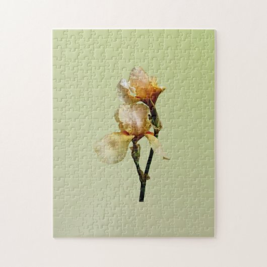 Peach Colored Irises Puzzle (Vertikal)