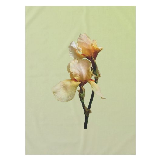 Peach Colored Irises Tischdecke (Vorderseite)