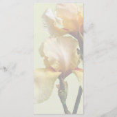 Peach Colored Irises Wedding Menu Menükarte (Rückseite)