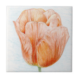 Peach Colored Tulip Fliese