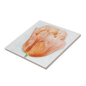 Peach Colored Tulip Fliese (Seite)