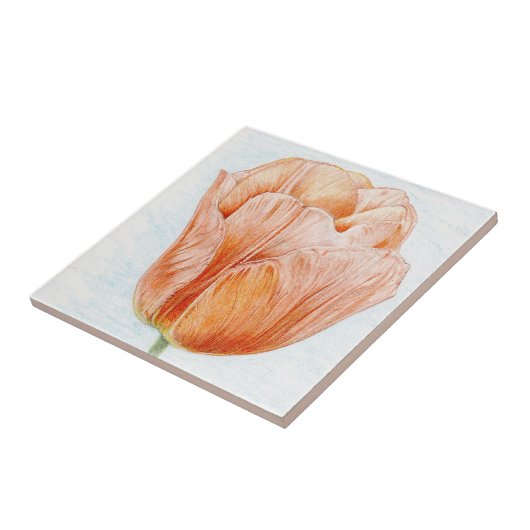 Peach Colored Tulip Fliese (Seite)