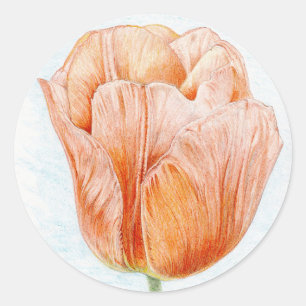 Peach Colored Tulip Runder Aufkleber