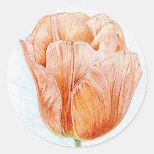 Peach Colored Tulip Runder Aufkleber (Vorderseite)