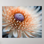 Peach Dalia Poster (Vorne)