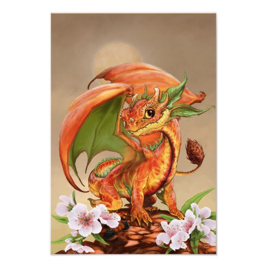 Peach Dragon 13x19 Print Fotodruck (Vorne)