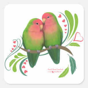 Peach Faced Love Birds Quadratischer Aufkleber