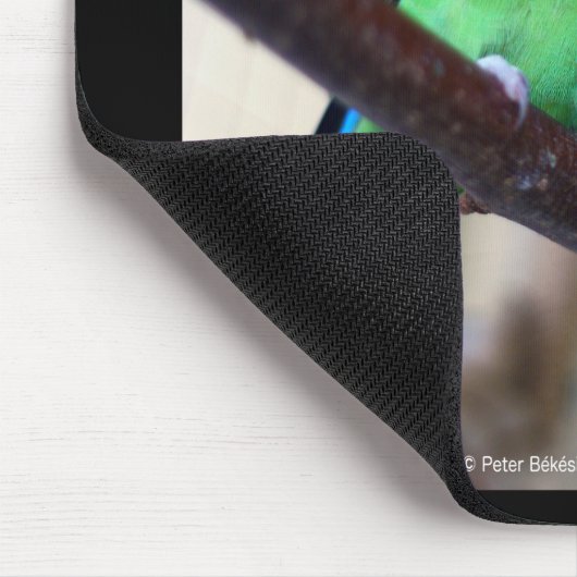 Peach-faced lovebird mousepad (Ecke)