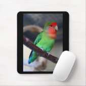 Peach-faced lovebird mousepad (Mit Mouse)
