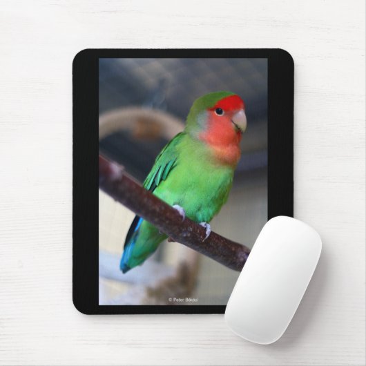 Peach-faced lovebird mousepad (Mit Mouse)