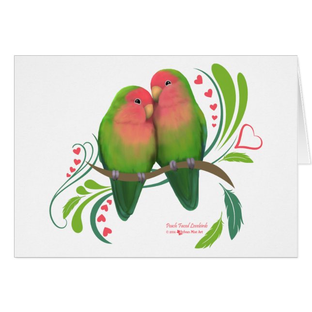Peach Faced Lovebirds (Vorderseite (Horizontal))
