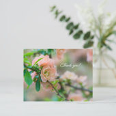 Peach Flower Quince Danke Post Card Postkarte (Stehend Vorderseite)