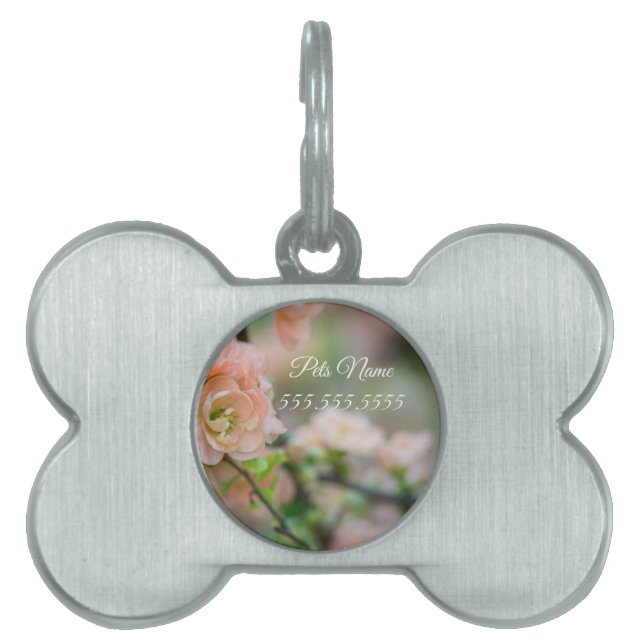Peach Flower Quince Pet Tag Tiermarke (Vorderseite)