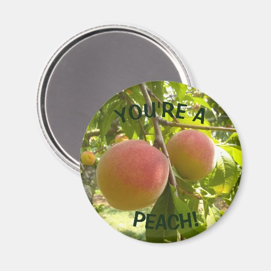 Peach Foto text Sie sind ein Peach Magnet (Vorderseite/Rückseite)