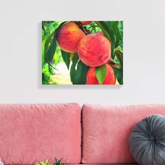 Peach Fruit Tree Branch Stretched Canvas Print Leinwanddruck (Insitu (Wohnzimmer))