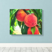 Peach Fruit Tree Branch Stretched Canvas Print Leinwanddruck (Insitu (Holzboden))